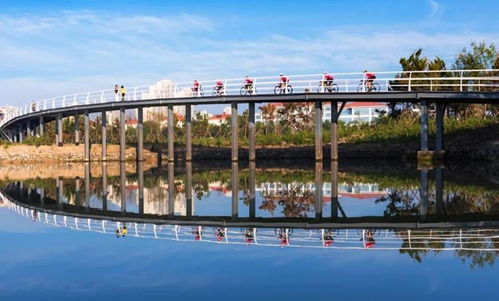 就地过年健康行 日照发布健身大礼包，助力市民享受健康新年